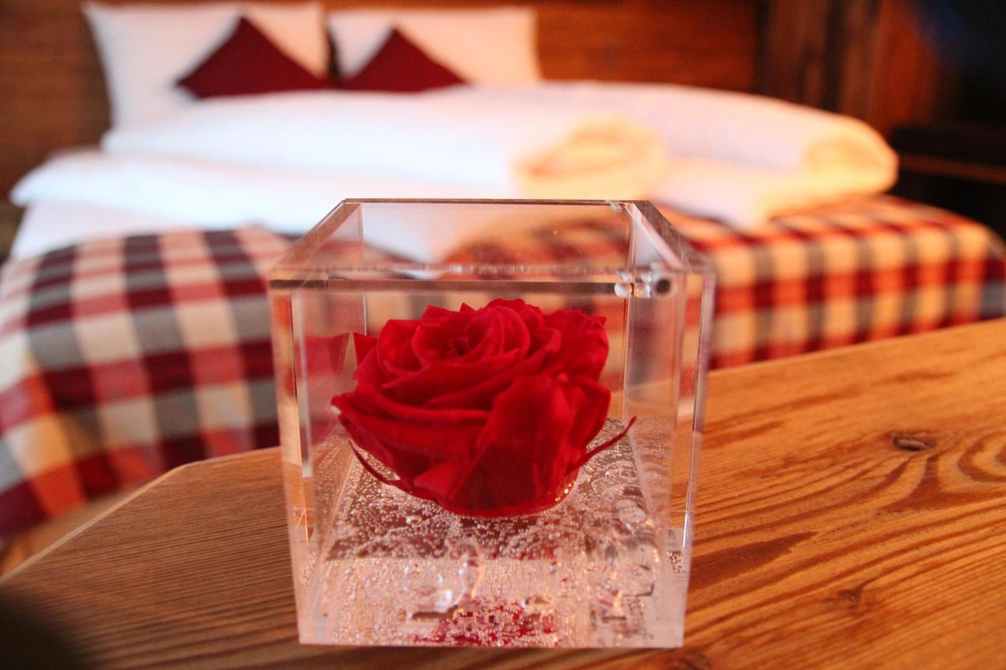 Green Rose Livigno Dış mekan fotoğraf